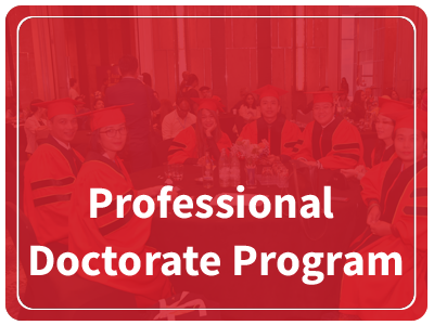 Professional Doctorate Programs